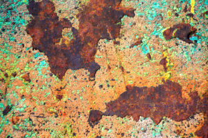 Abstract No.1 by Cindy Sun