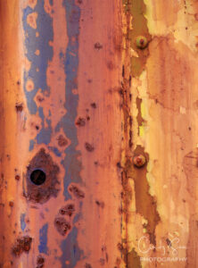 Abstract No.2 by Cindy Sun