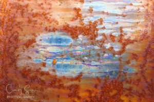 Abstract No. 3 by Cindy Sun