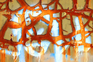 Abstract No. 4 by Cindy Sun