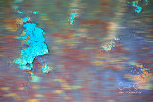 Abstract No. 5 by Cindy Sun