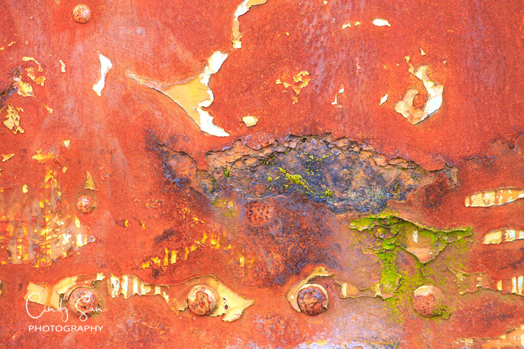 Abstract No. 6 by Cindy Sun