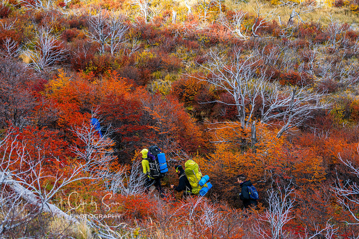 Patagonia Autumn Spectrum, Argentina