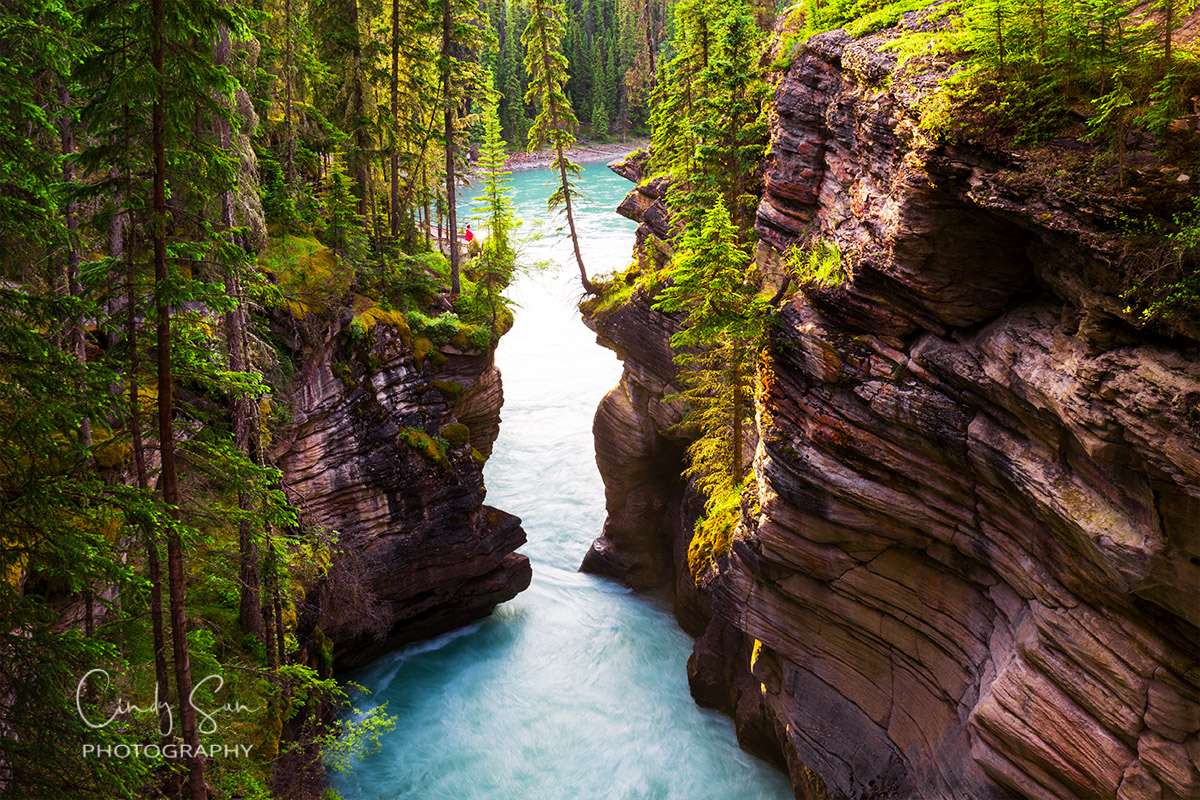 Athabaska Falls Canyon View at Jasper National Park, Canada