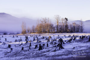 Misty Morning Light with Snow