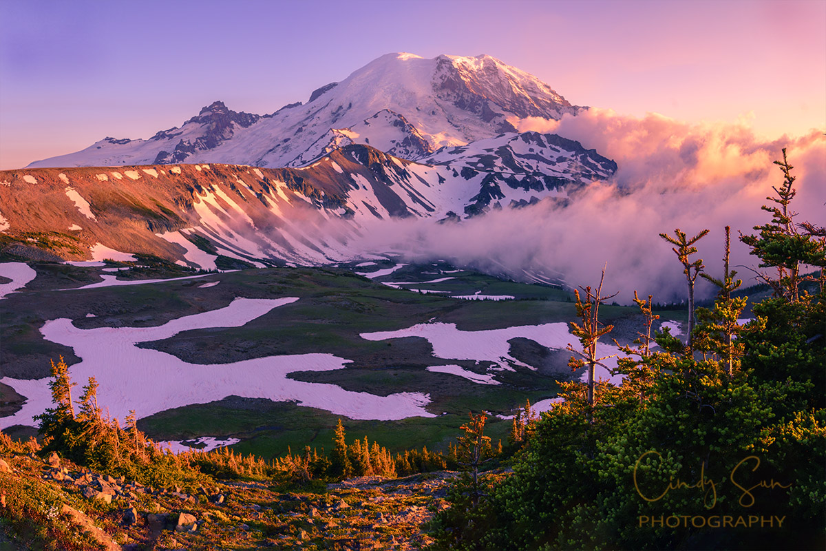 Mount Rainier with golden light