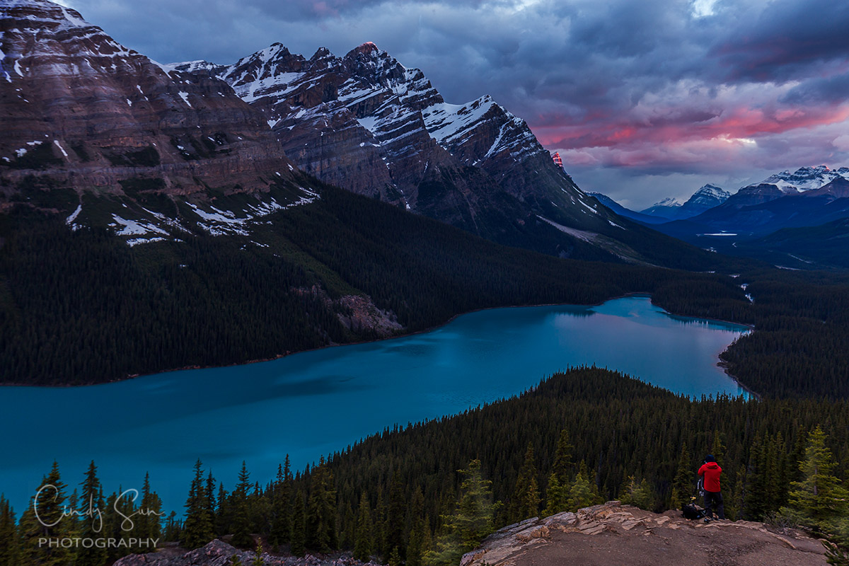 Peyto Lake at Banff National Park, Canada