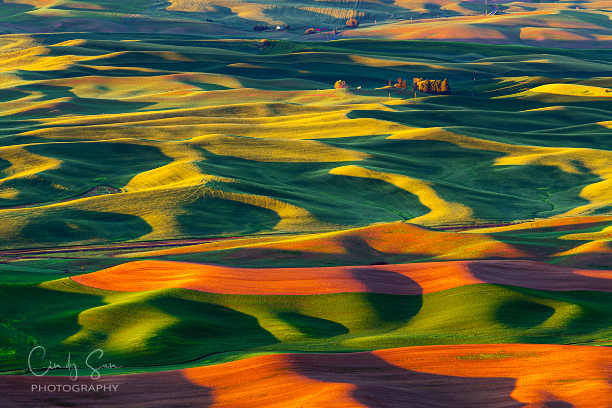 Rolling Hills in Washington State